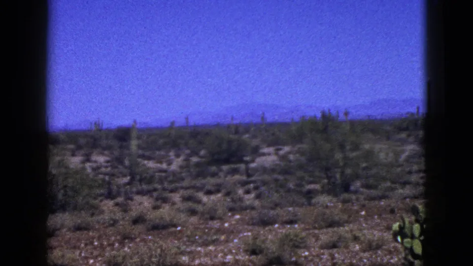 1953 8mm view across New Mexico desert terrain, with scattered cactus forms, low brush, and a flat horizon below blue sky.