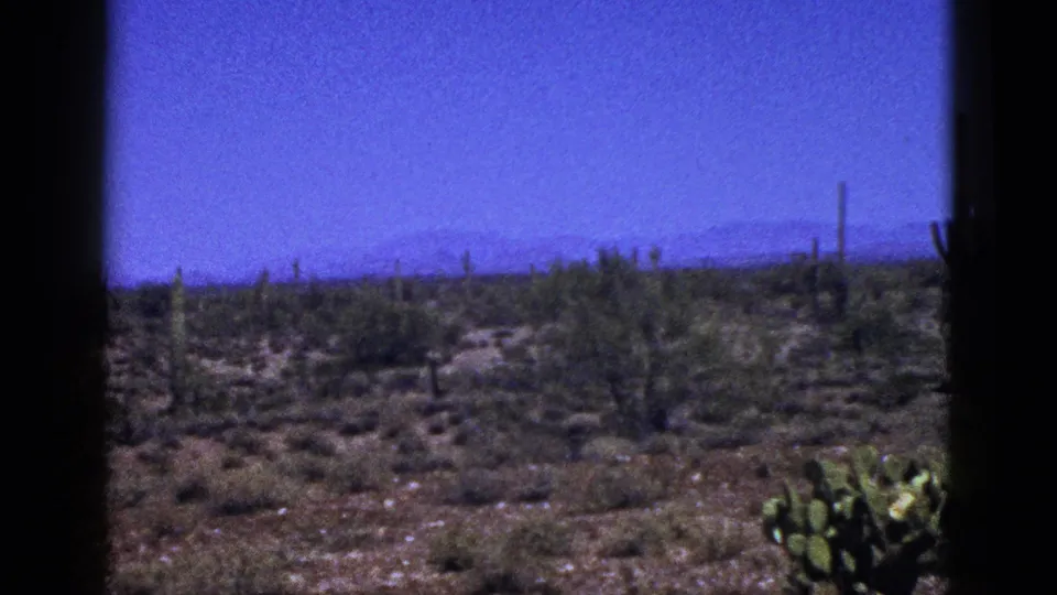 1953 8mm New Mexico desert frame with brushy terrain, distant tall cacti, blue sky, and prickly pear pads in the foreground edge.