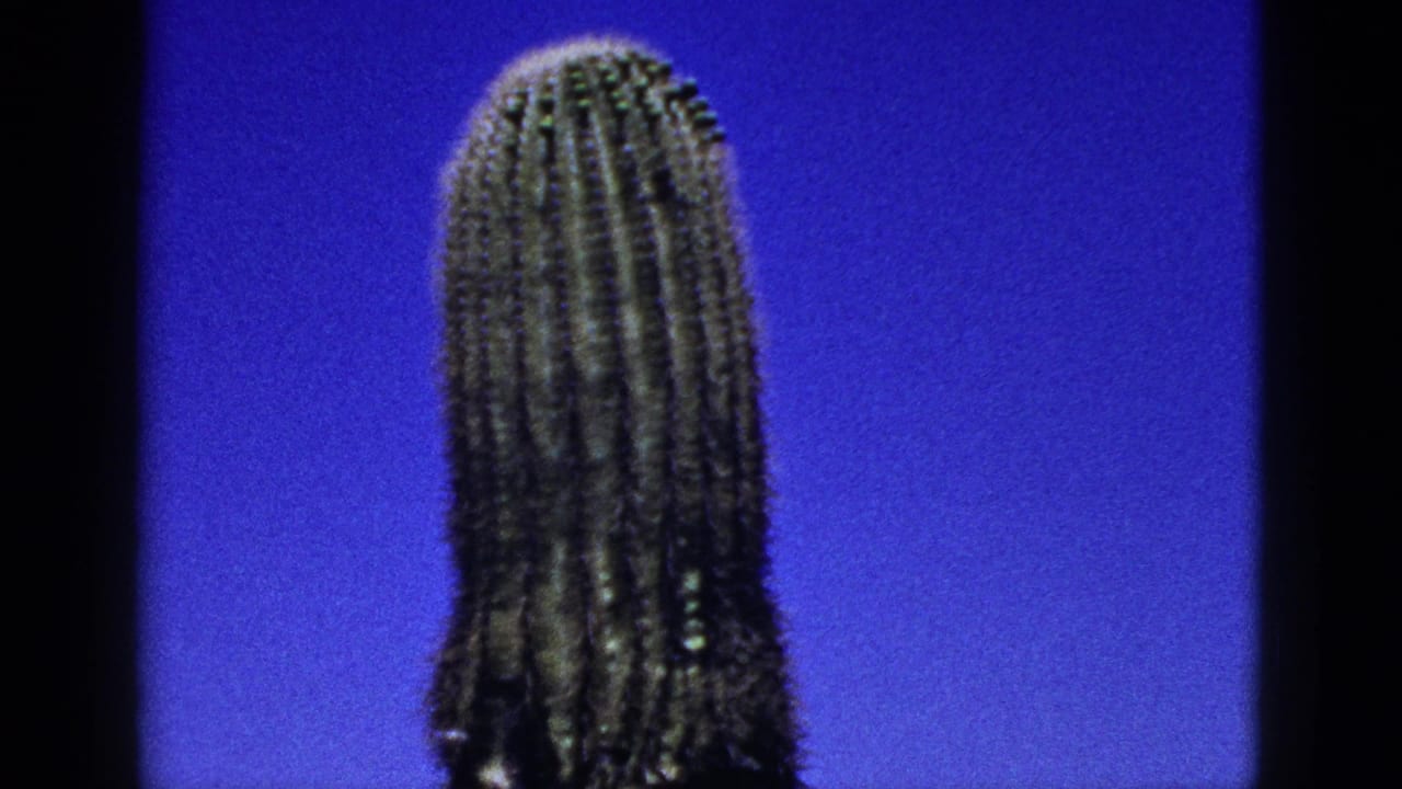 Upper section of a tall cactus centered against a clear blue sky.