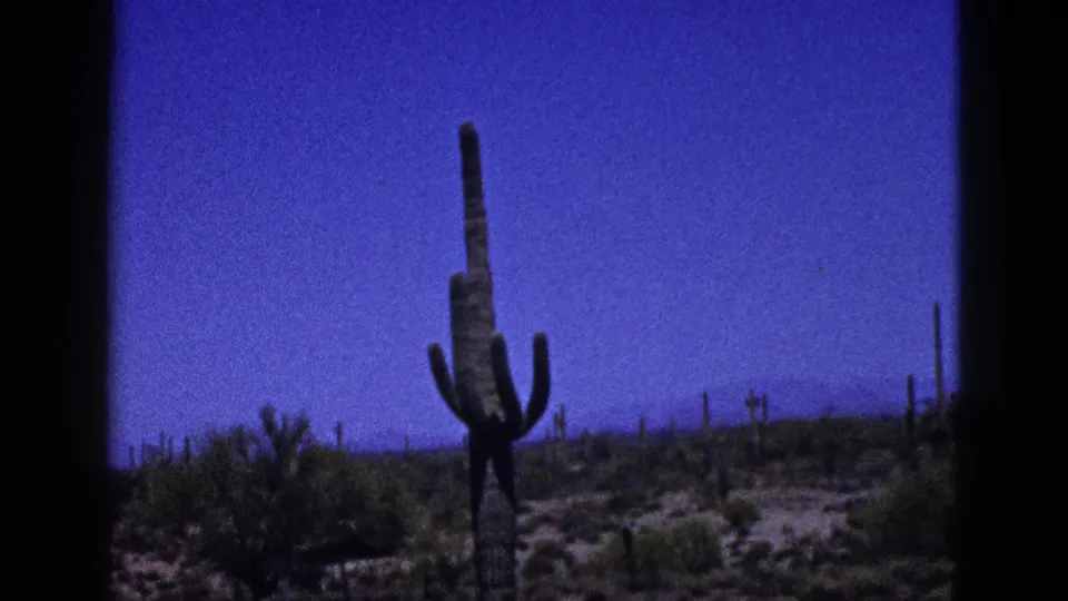 1953 New Mexico 8mm frame with a tall cactus, sparse shrubs, dry terrain, and a broad saturated blue sky.
