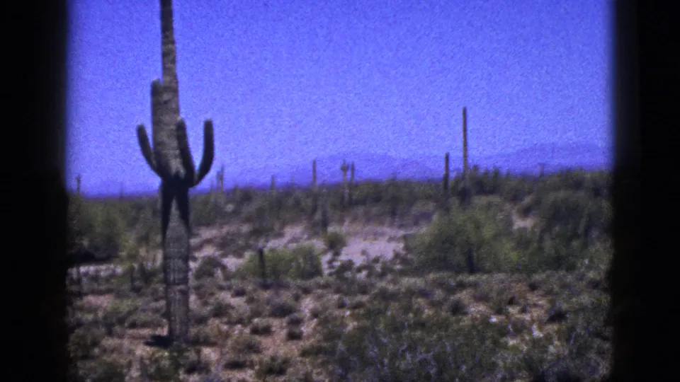 Cataloged New Mexico 1953 8mm frame with a multi-armed cactus, sparse shrubs, open sky, and soft distant horizon.