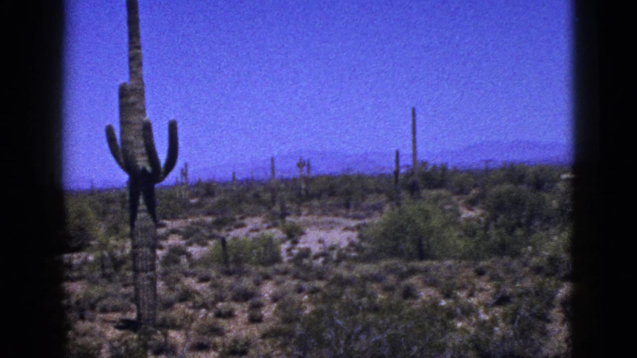 1953 New Mexico 8mm frame showing a desert plain with tall cactus in the foreground, scrub vegetation, distant mountains, and blue sky.