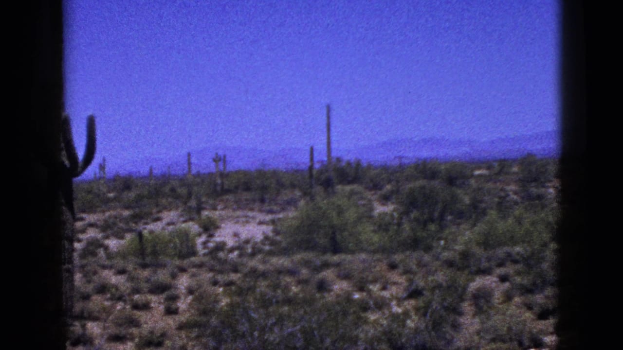 Wide desert view with a tall cactus near the edge, low brush, mountains, and blue sky.