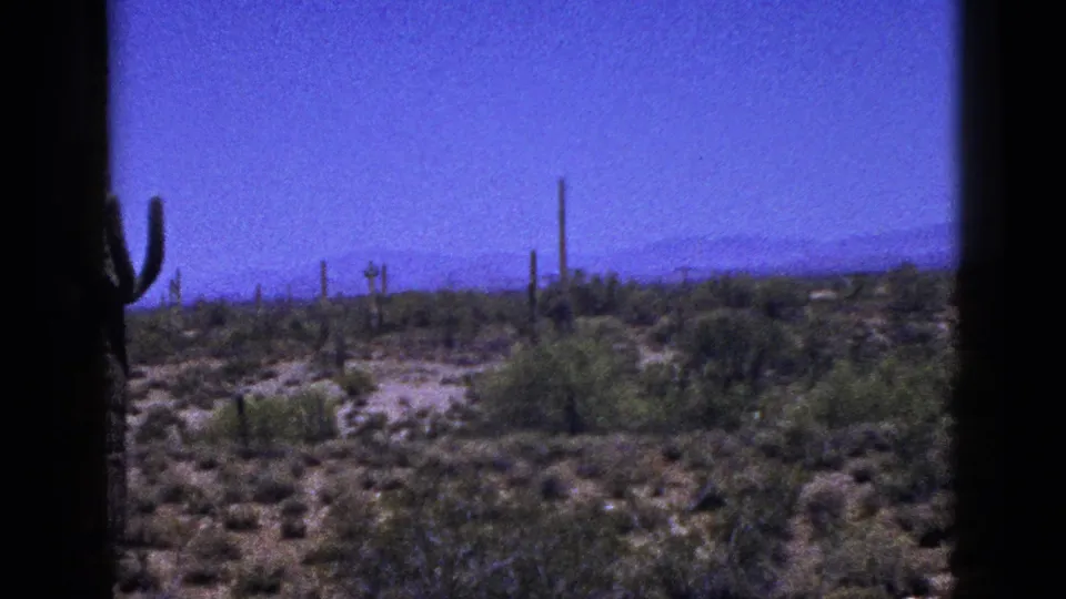 1953 New Mexico home-movie frame with a wide desert landscape, tall cactus partly at left, low brush, distant mountains, and saturated blue sky.