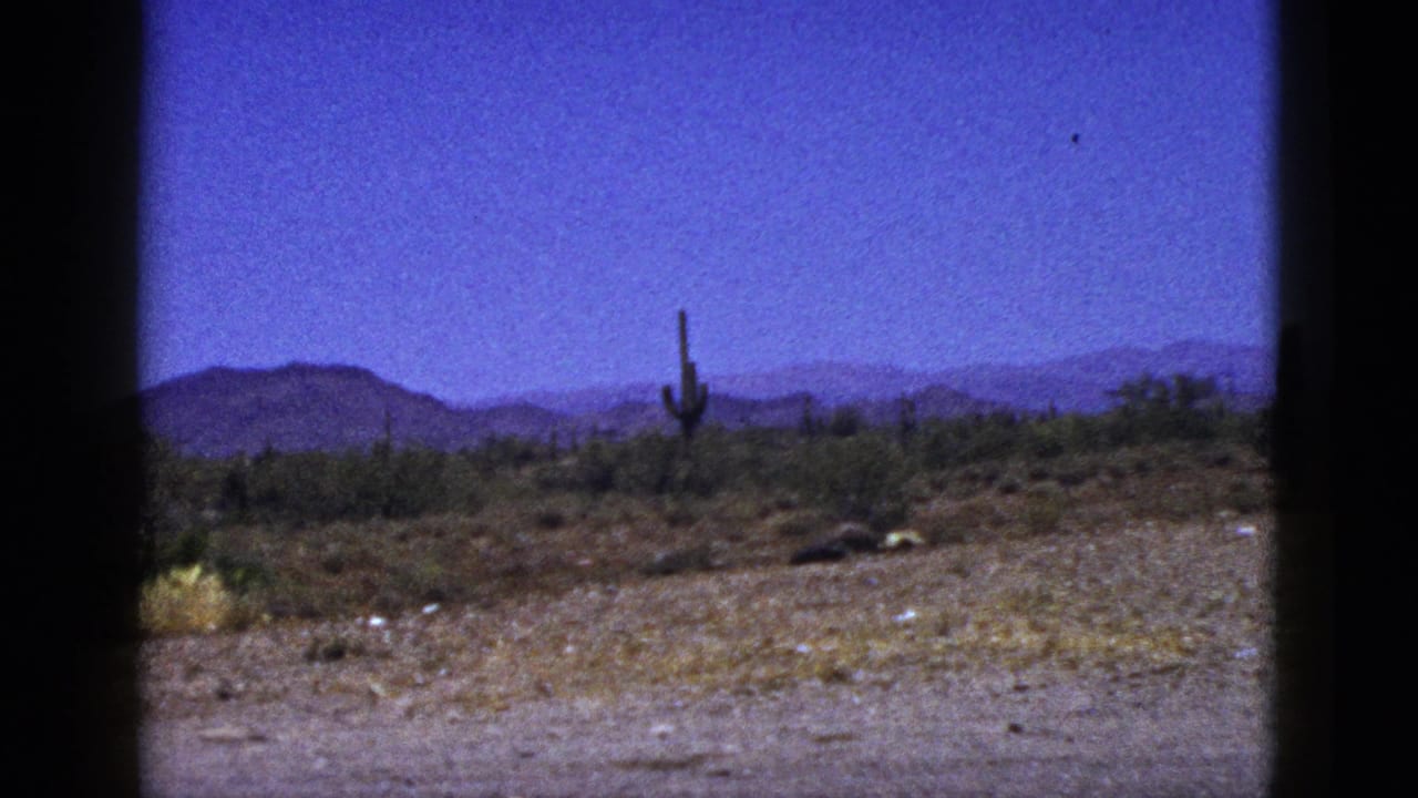 Desert ground with shrubs, tall cactus forms, distant mountains, and blue sky.