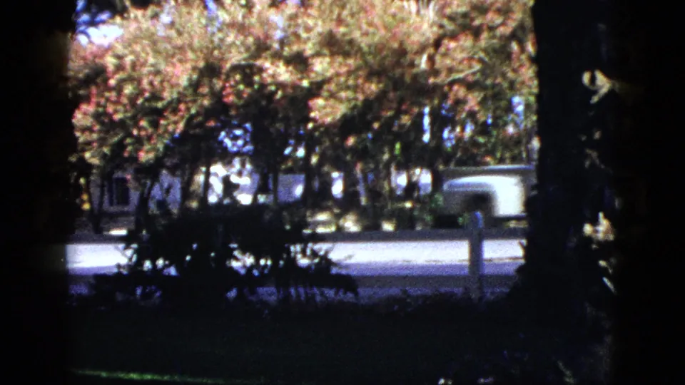 1953 Palm Desert roadside area with flowering trees, shade, a paved street, and low buildings partly obscured by foliage.