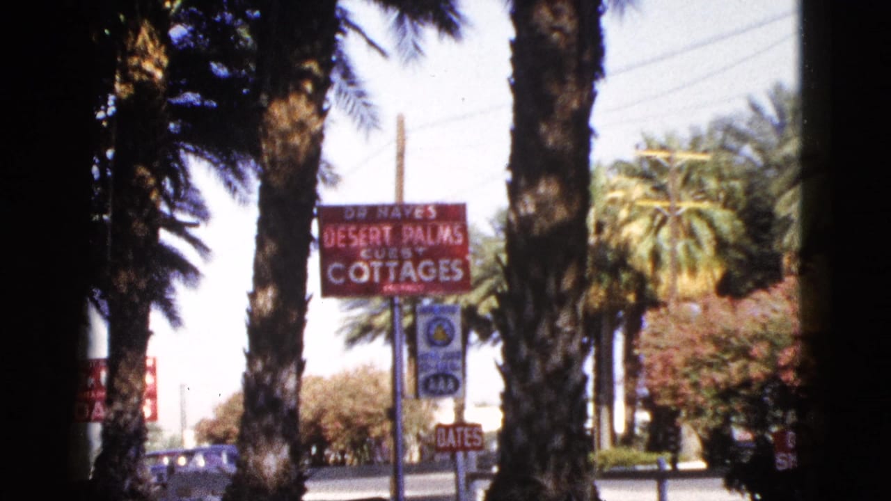 1953 Palm Desert home-movie frame showing the Desert Palms Guest Cottages sign between palm trunks beside a road.