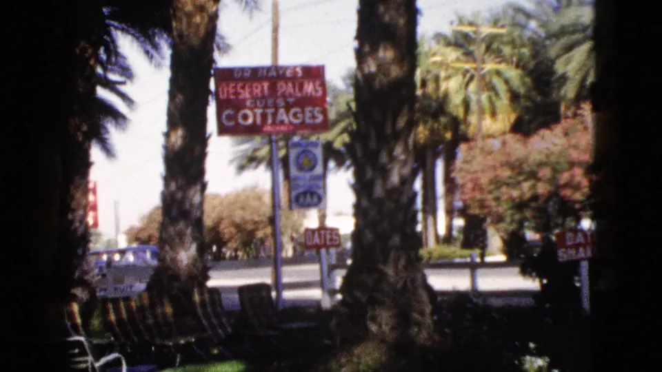 1953 resort-ground view with palm trunks, cottage signage, roadway, and rows of shaded lounge chairs.