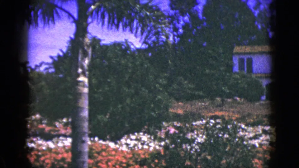 The garden view continues with flowers, palm trees, thick hedges, and a partial house visible in the Palm Springs vacation footage.