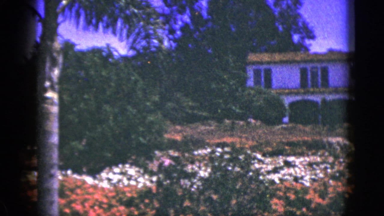 White stucco building behind flower beds, trees, and a palm trunk.