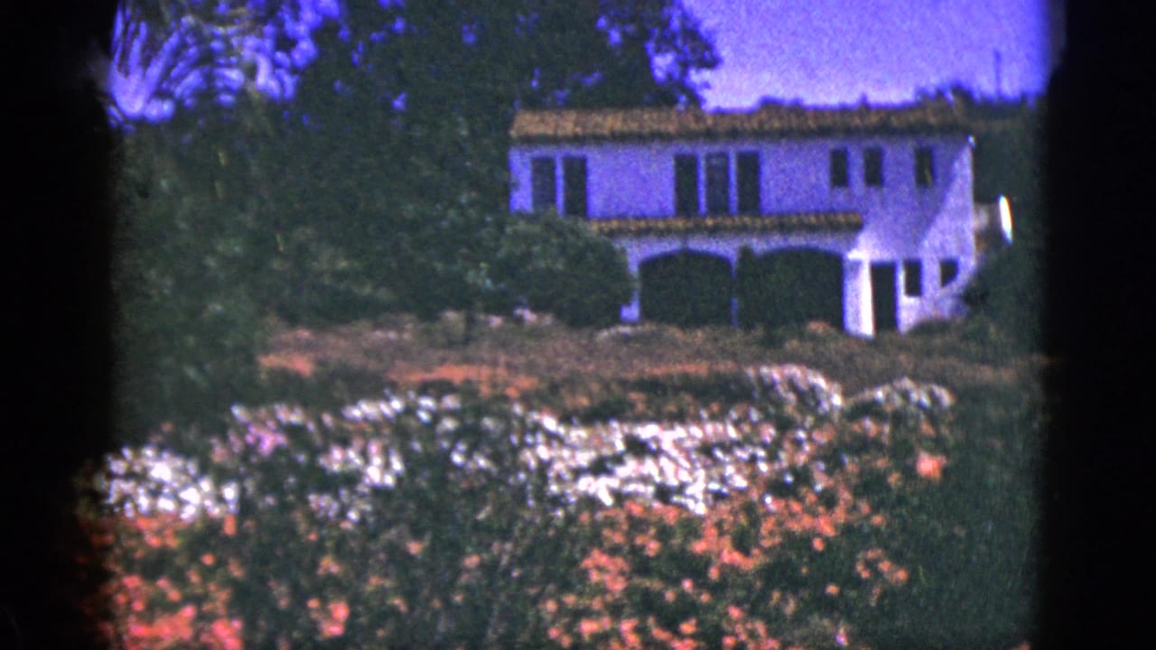 White building with arched porch above pink and white flowers.