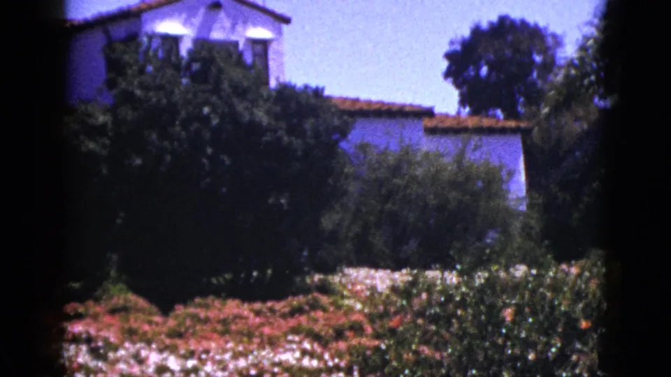 1953 Palm Springs view of a hacienda-style building beyond hedges, trees, and a sunlit garden with flowering plants in the foreground.