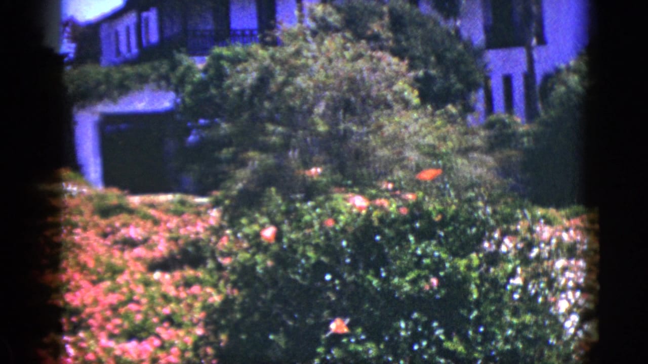 White stucco house partly hidden behind flowering garden beds and dense greenery.