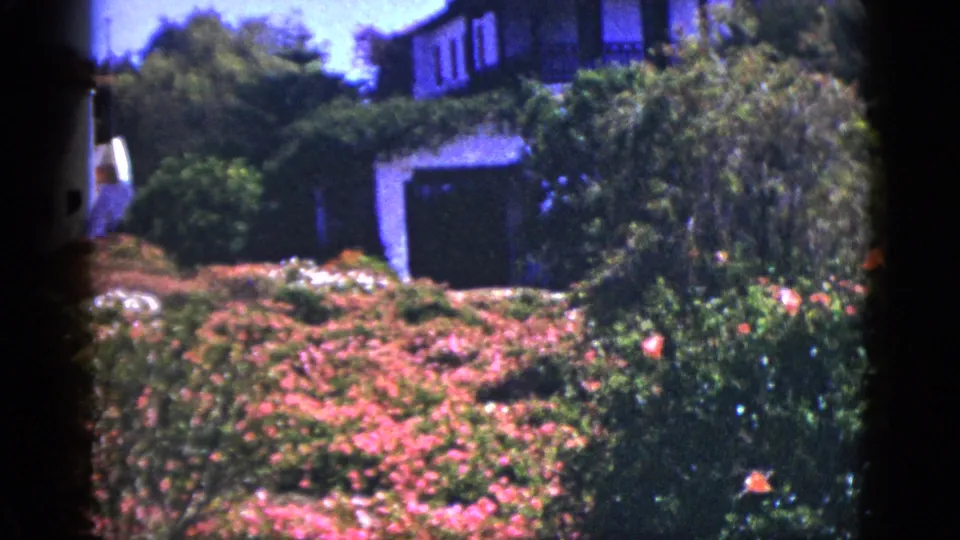 Palm Springs residential garden in 1953, showing saturated flowers, bushes, trees, and a white stucco garage or house exterior.