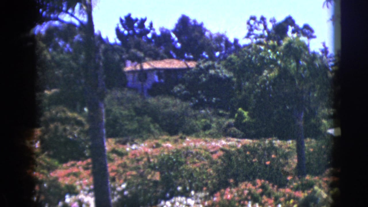 1953 Palm Springs home-movie frame showing a hillside residence partly obscured by palms, trees, and flowering garden beds.