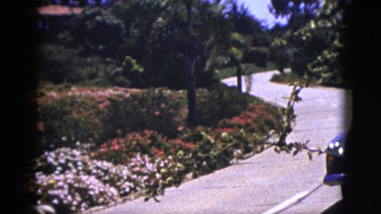 Curving driveway beside planted flowerbeds and trees.