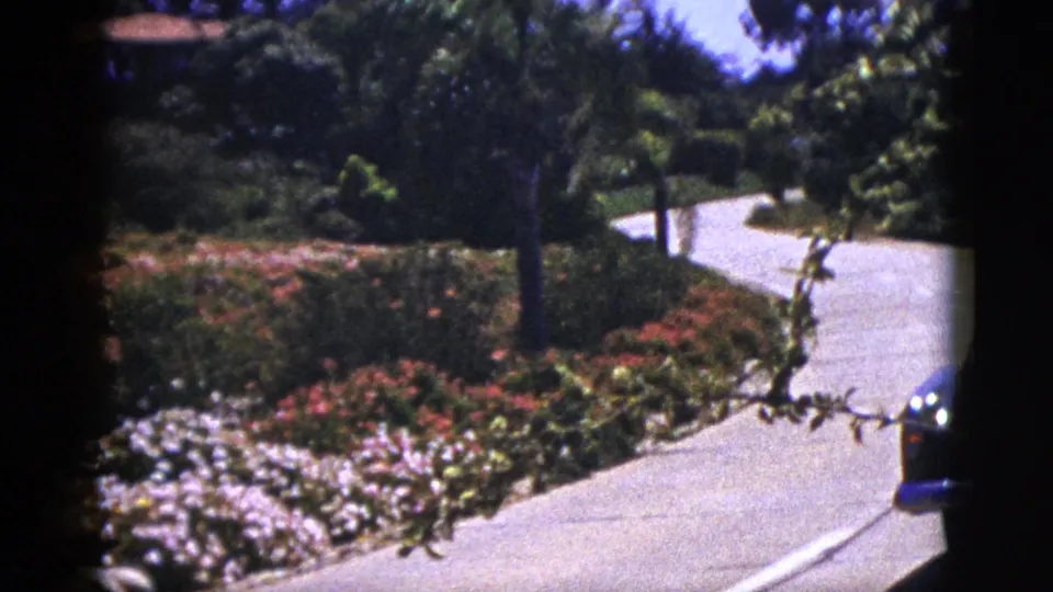 1953 8mm home-movie frame showing a curving paved driveway bordered by pink and white flowerbeds, trees, and a partial residential or roadside structure.