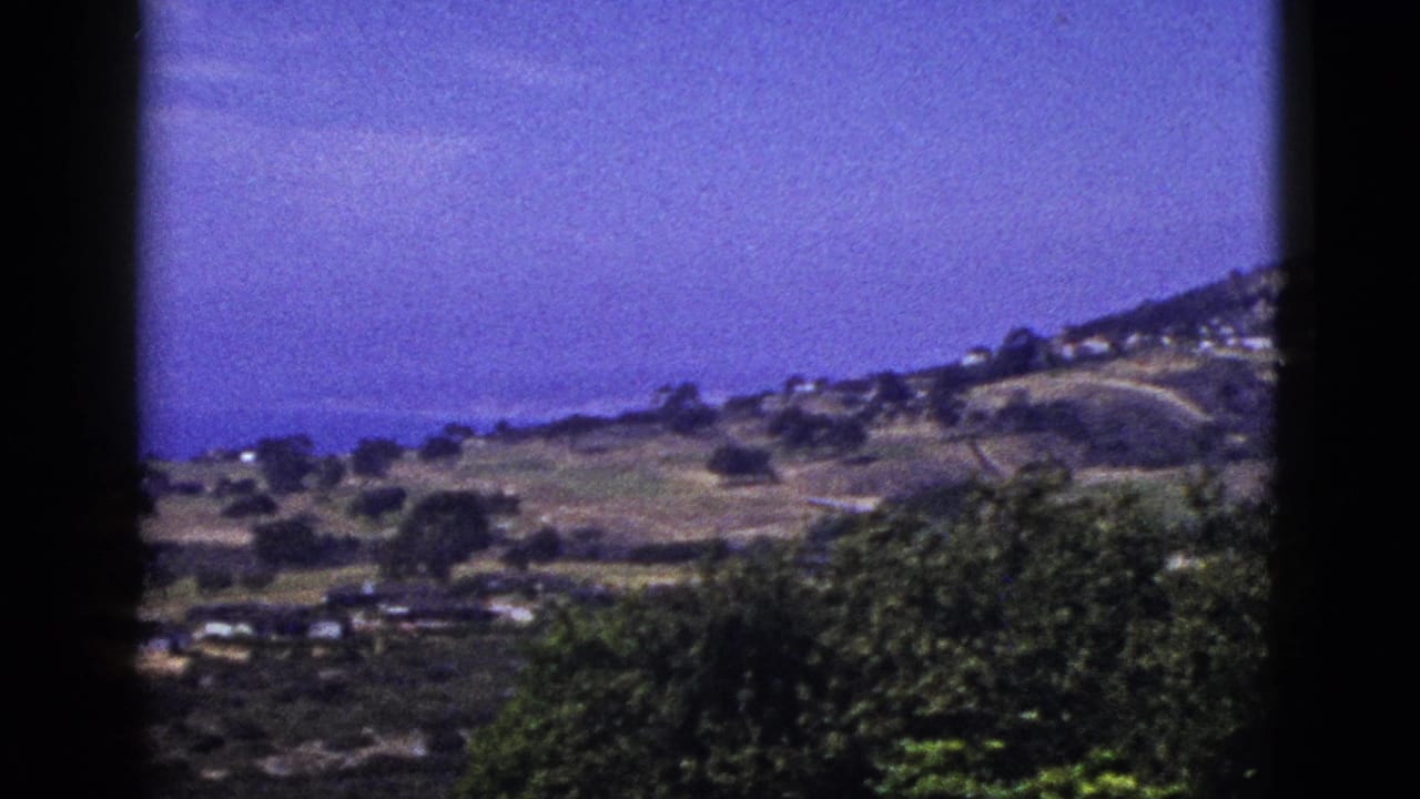 Coastal hillside with scattered homes, foreground trees, and blue ocean beyond.