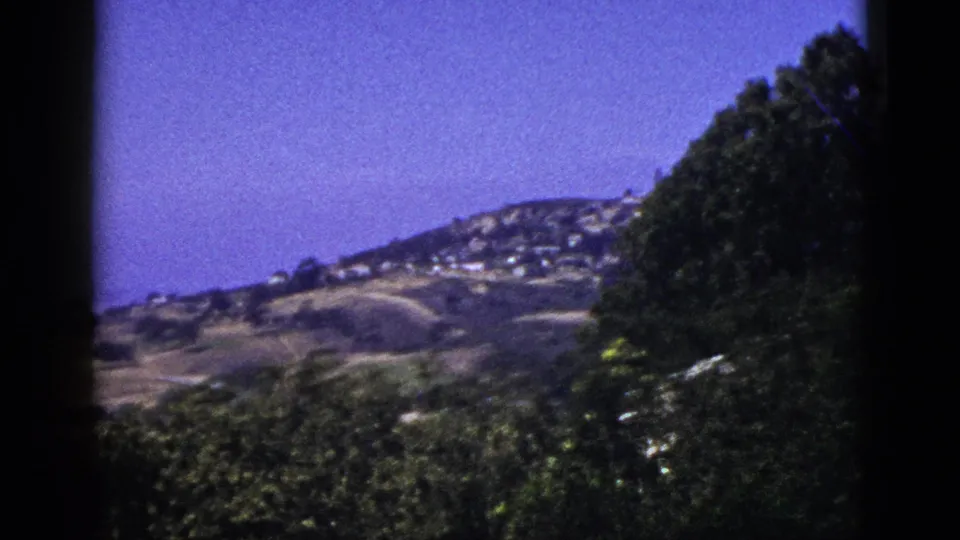 1953 California coastal view with dense foreground trees, dry hillside terrain, scattered homes, and blue sky above the ocean slope.