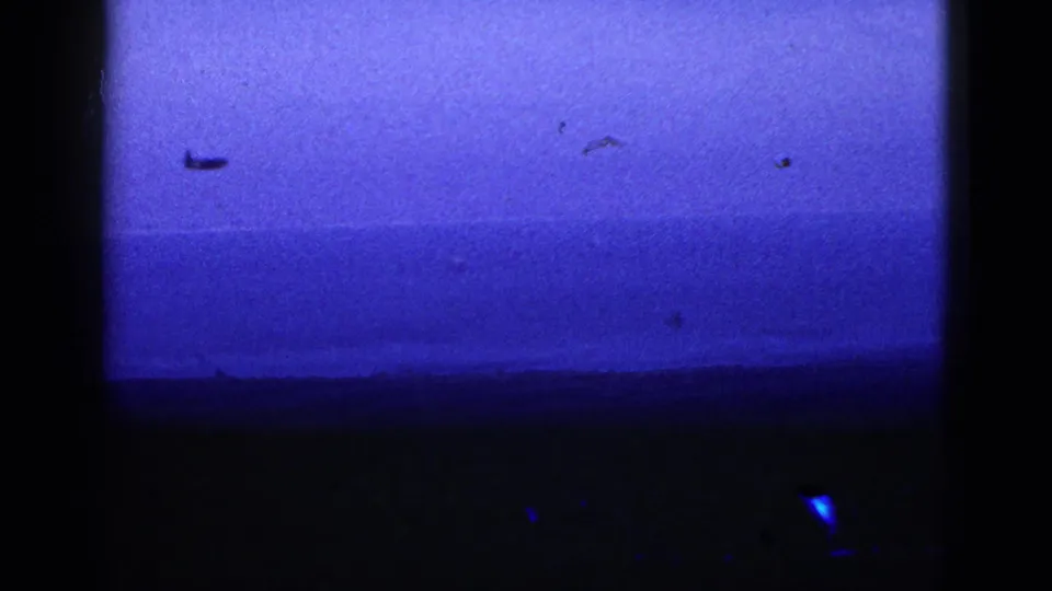 1953 California 8mm frame with small aircraft or distant flying objects over a blue coastal horizon.
