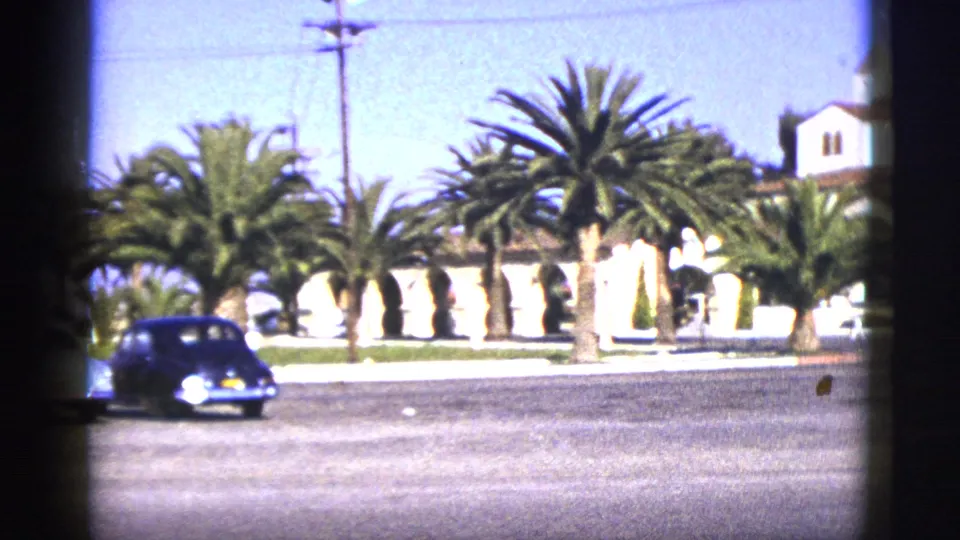 1953 California street scene with a dark mid-century car, palm trees, a utility pole, and a light-colored building edge.