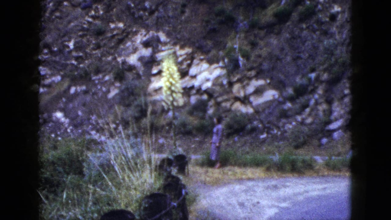 A small figure stands on a dirt path below a rocky slope near a tall yellow flower.