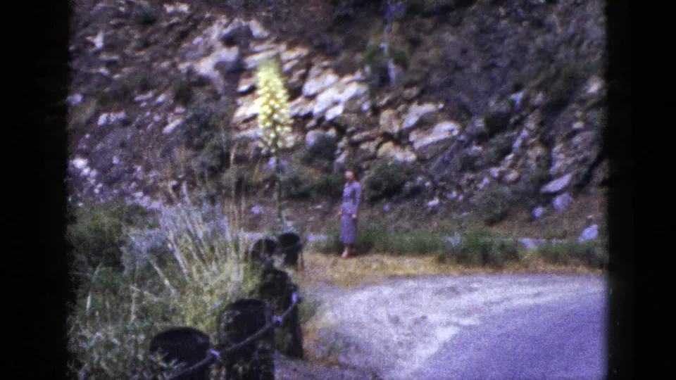 1953 California 8mm frame with a young person in a long dress near a path, rocks, brush, and a tall yellow bloom.