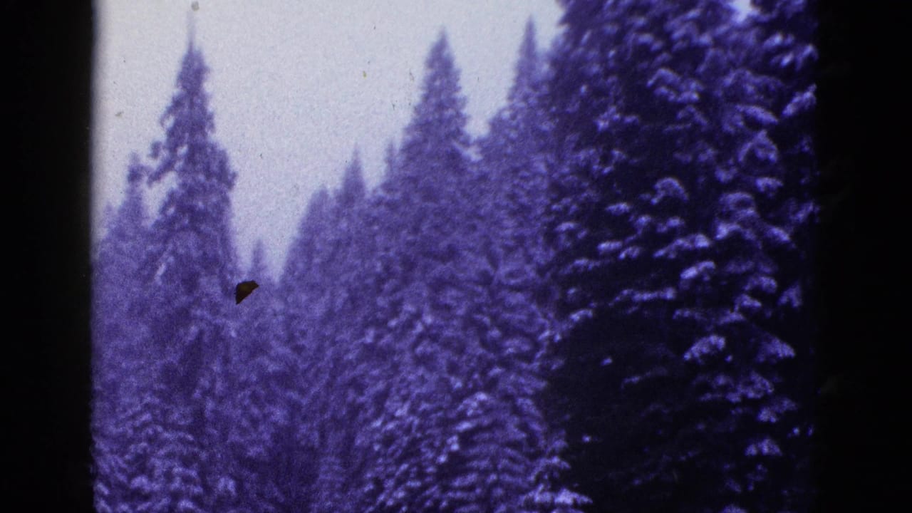 Snow-covered evergreen trees fill the frame with dark 8mm film borders.