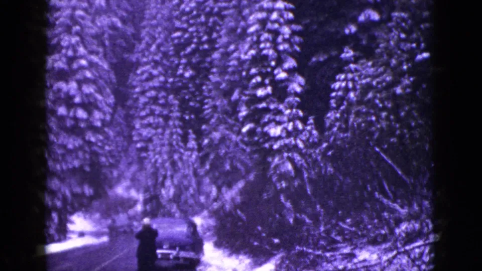 A snow-lined California mountain road appears below tall evergreens, with a distant parked car and one adult standing nearby.