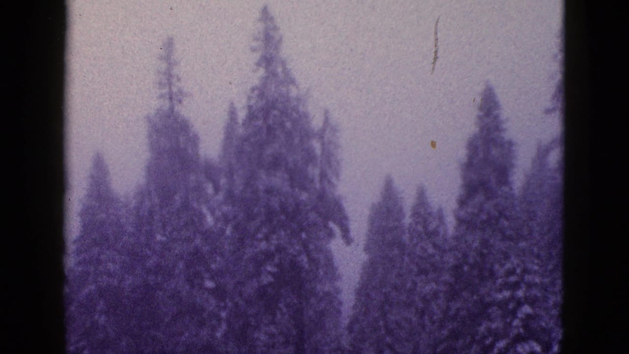 1953 California 8mm frame showing snowy conifers and a muted overcast sky with purple-blue film color.