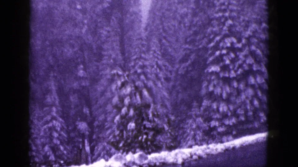 A roadside view of snow-covered conifers in California, seen through faded 8mm home-movie color.
