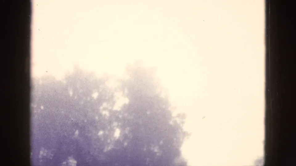 Soft, overexposed 8mm frame showing pale sky and dark treetop shapes, likely within the same snowy California forest sequence.