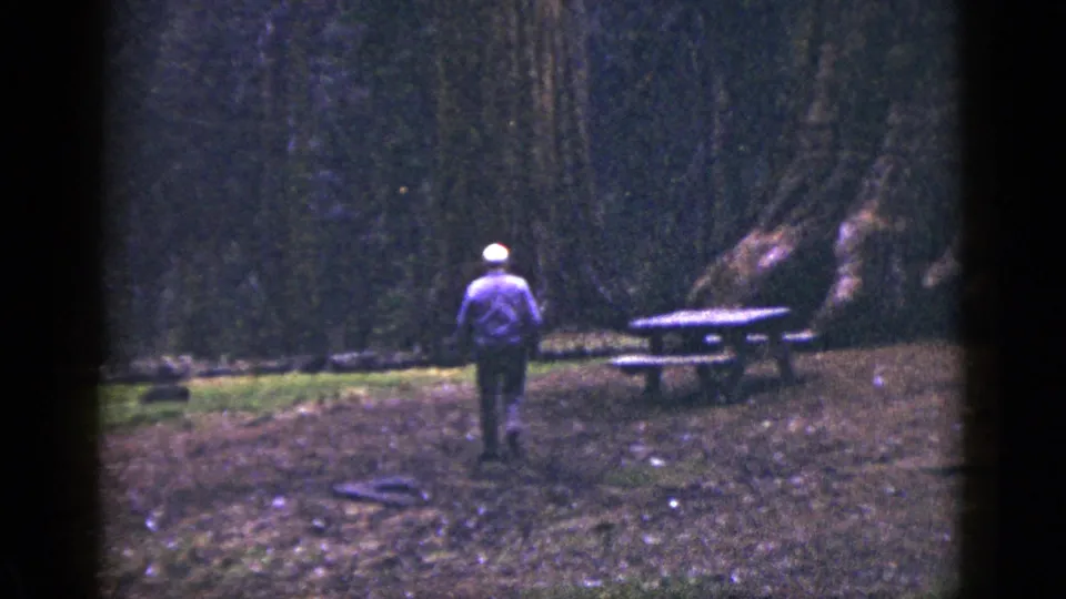 1953 California home-movie frame of a man walking toward large tree trunks and a picnic table in a wooded clearing.
