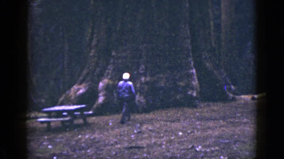 1953 California 8mm frame showing the man near a picnic table at the base of very large trees.