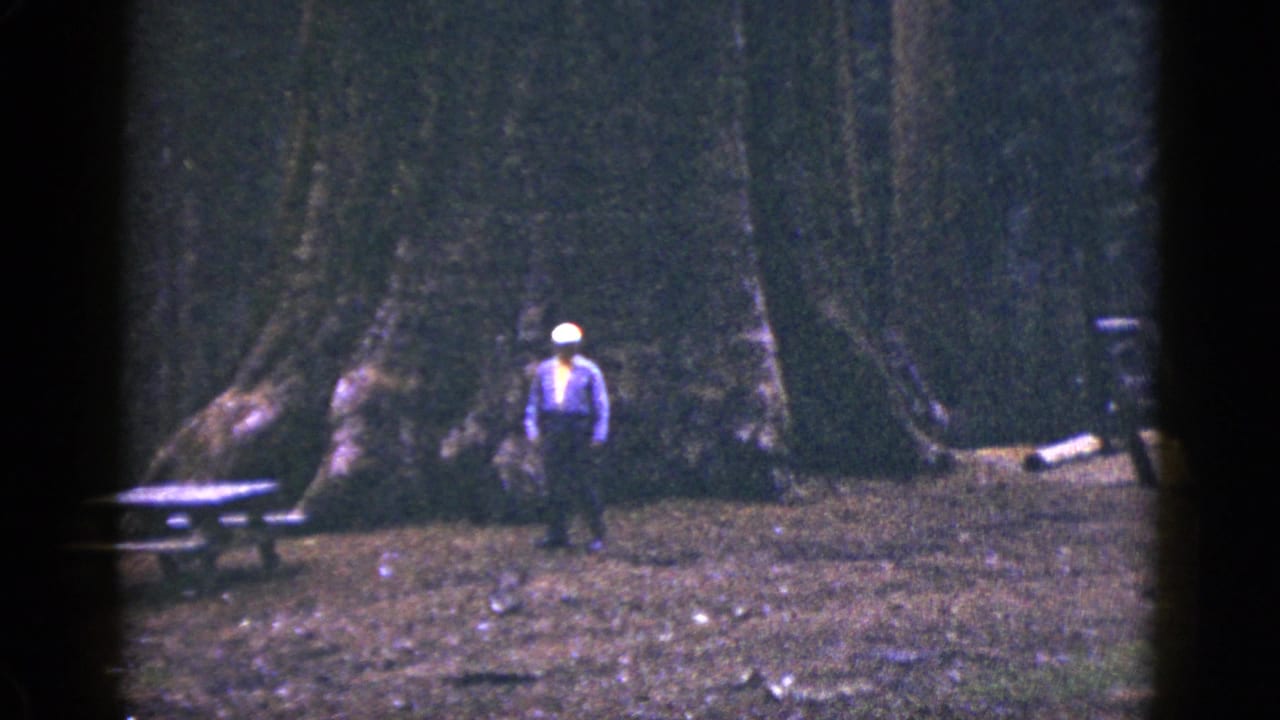 Man in a white hat walks across a forest clearing near a picnic table and giant tree trunks.