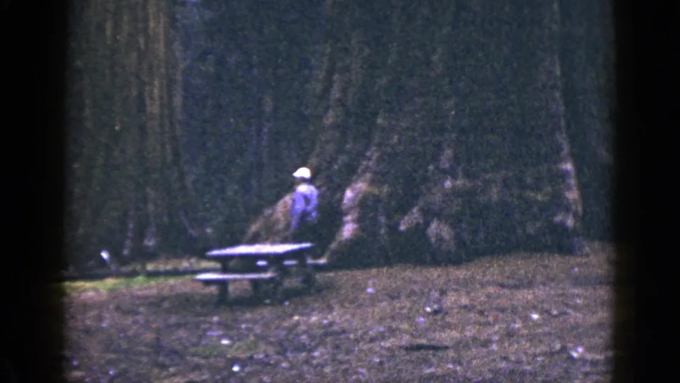 A soft 8mm view shows the man near the picnic table, framed by dark trunks and leaf-covered ground in California.