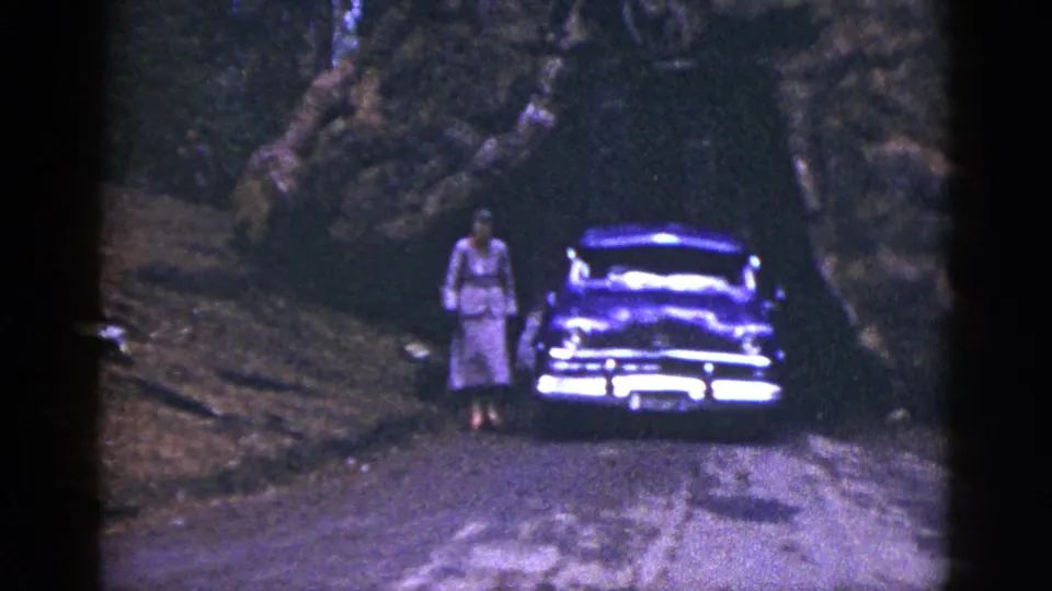 1953 California home-movie frame of a woman in a light dress beside a dark 1950s car on a forest dirt road.