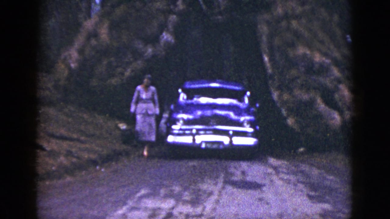 Woman in a dress stands beside a dark classic car on a shaded wooded road.