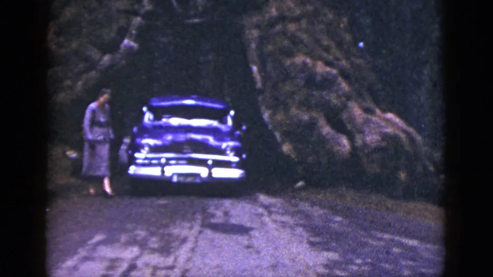 The woman stands close to the front of the parked car, framed by heavy trees and shadow in the California roadside scene.