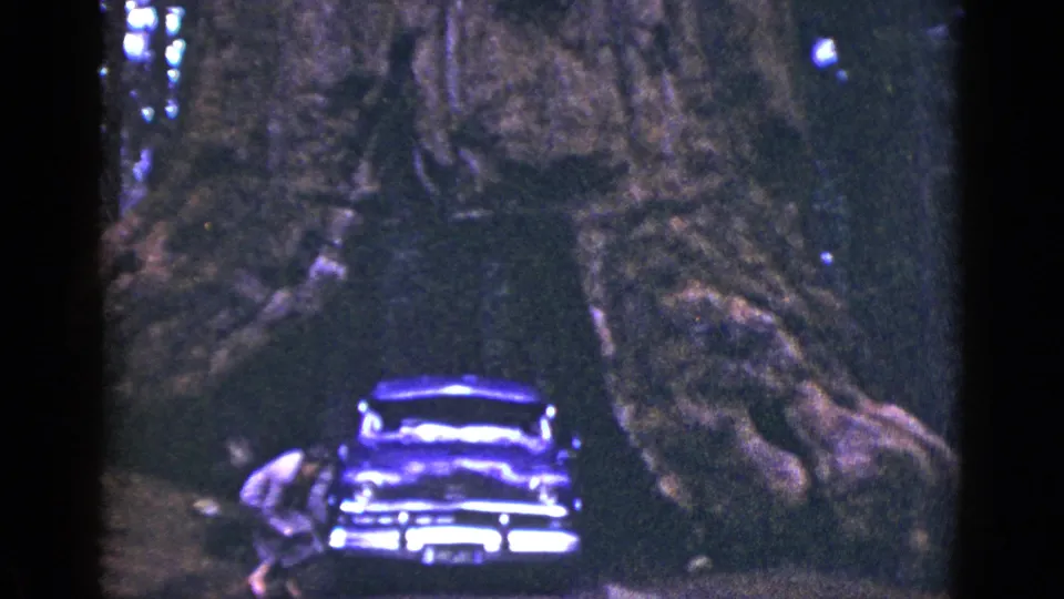 The woman bends down near the side of the wooded road as the dark classic car remains parked facing the camera.