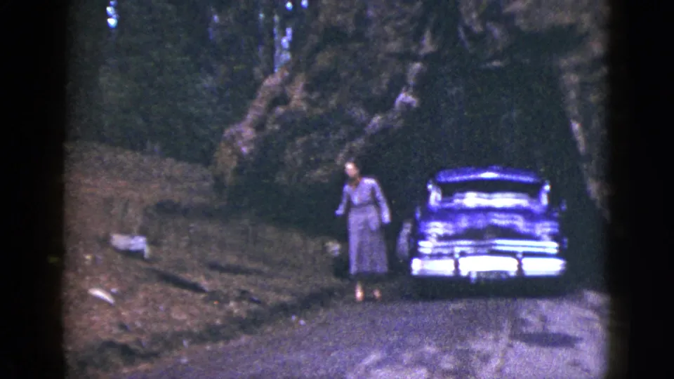 The woman stands at the roadside beside the parked mid-century car, with large trees and uneven ground visible around her.