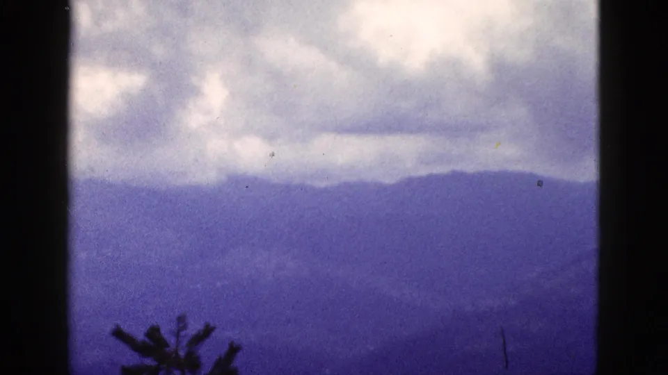 1953 California 8mm scenic frame with soft mountain ridges, low cloud cover, and a dark foreground treetop silhouette.