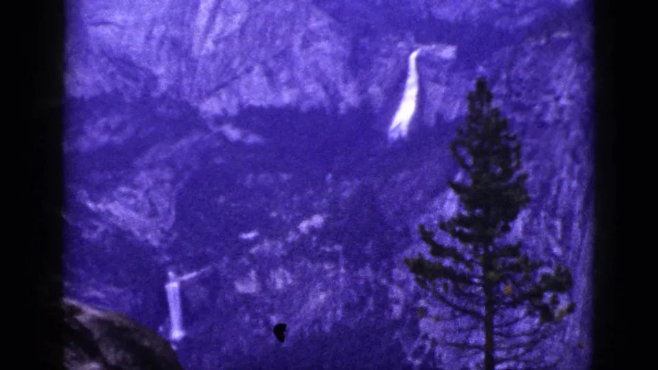 1953 California 8mm frame showing a waterfall on a rugged slope, a tall pine in front, and soft home-movie texture.