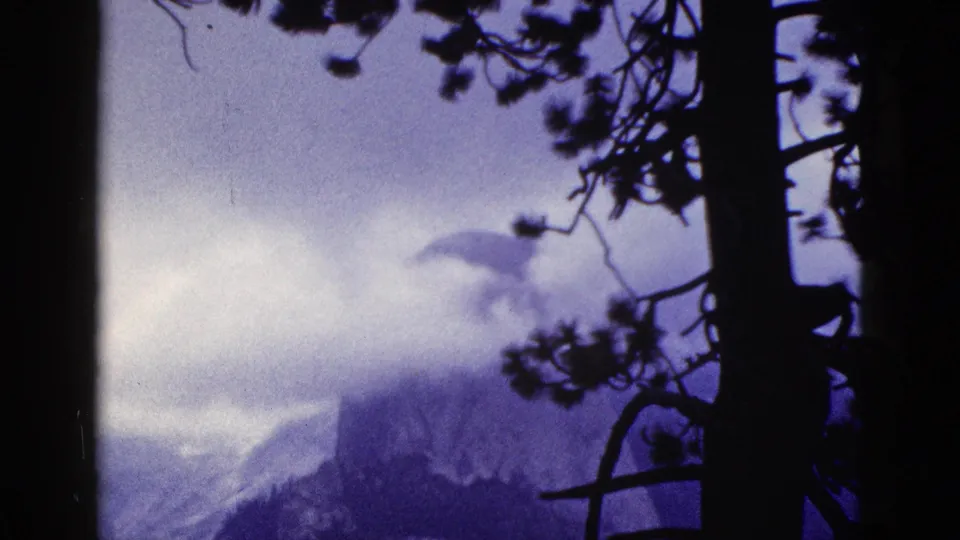 1953 California 8mm frame showing soft, clouded mountain peaks with dark pine branches crossing the foreground.