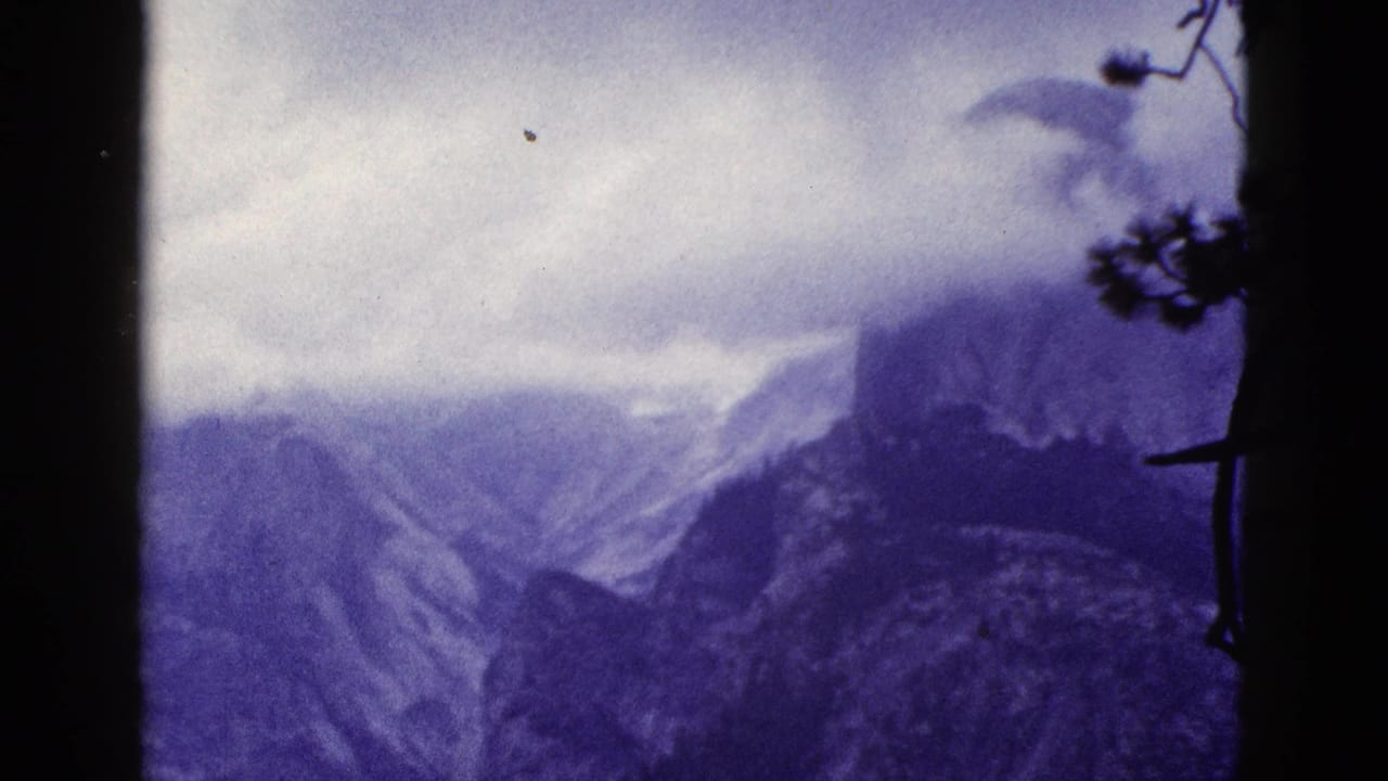 Purple-tinted mountain ridges and clouds framed by dark pine silhouettes.