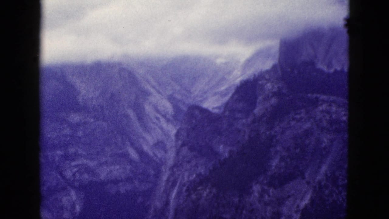 1953 California 8mm frame showing distant mountain ridges through dark foreground tree trunks, with a purple-blue film tint and soft haze.