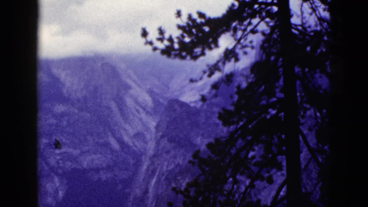 Distant rugged mountains with a silhouetted pine tree along the right edge.