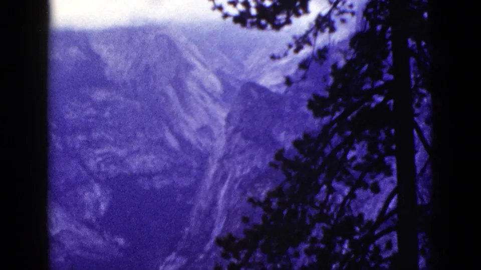1953 California 8mm frame with distant ridges and valley forms partly hidden by a dark pine tree and branches in the foreground.