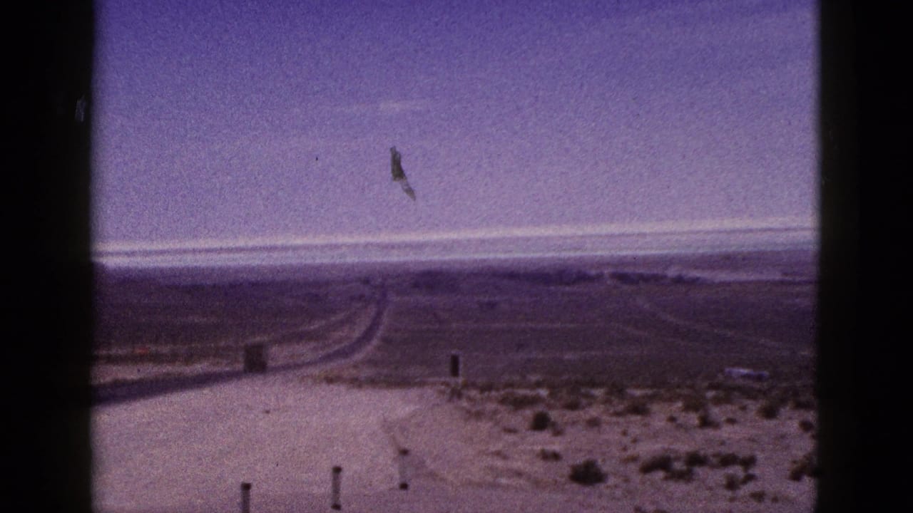 Open desert landscape with a road leading toward the horizon and sparse roadside posts.