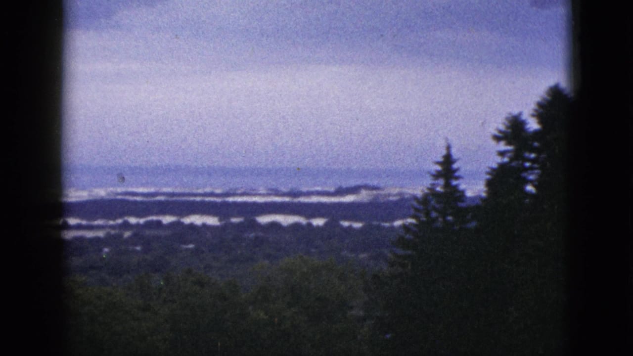 1953 California 8mm frame looking past dark foreground edges and evergreen trees toward distant water or snow under a hazy sky.